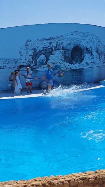 Иееееййййоу смотреть онлайн