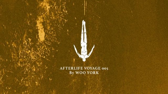 Afterlife Voyage 005 By Woo York