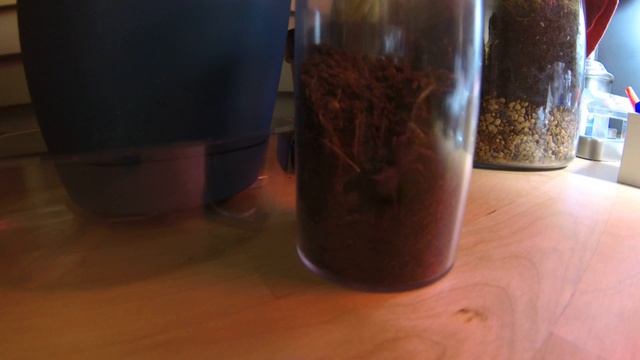 Chilean Flame Sling смотреть онлайн