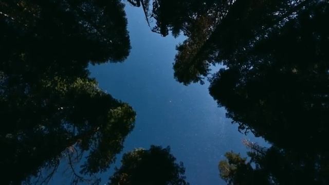 Звёздное небо (часть)2 смотреть онлайн