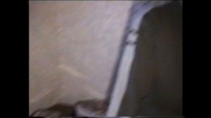 Дни рождения с Друзьями 2ч