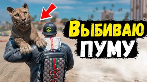 ОТКАЗАЛСЯ ОТ ПРОКАЧЕННОЙ СВИНЬИ РАДИ ПУМЫ! ЭТО УГАР! GTA 5 RP MURRIETA