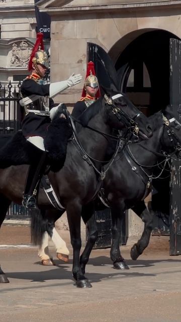 HORSE ABANDONS BOX! 🐎 | Horse Guards, Royal guard, Kings Guard, Horse, London, 2024 смотреть онлайн