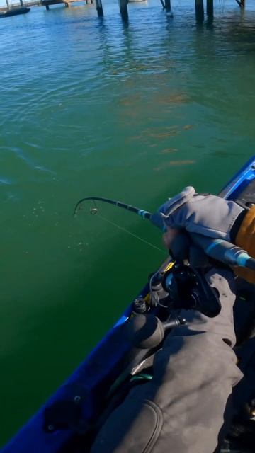 It Doesn't Take a Big Bait to Catch Big Fish #shorts смотреть онлайн