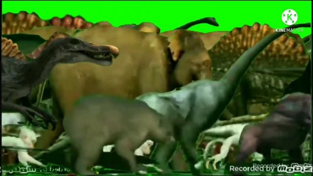 Biggest Animal Stampede Green Screen смотреть онлайн