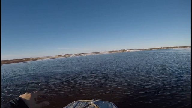 В Избушку! 7 июня 2024 год смотреть онлайн