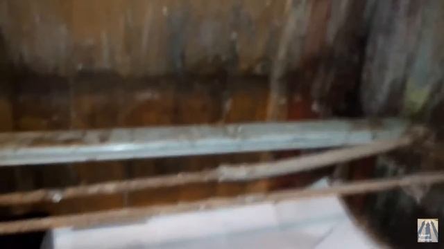 Мой перепелятник смотреть онлайн