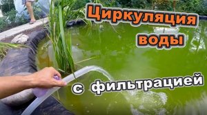 Насос для циркуляции и фильтрации воды \ Кувшинки в пруду \ (июль 2018)