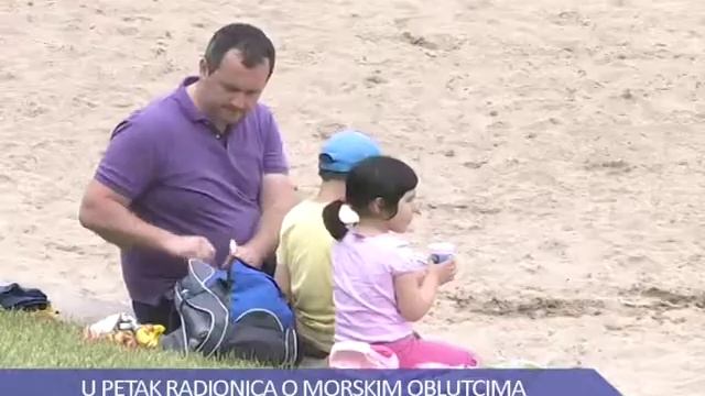 Ježinci, vlasulje i alge смотреть онлайн