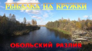 ЛОВЛЯ ЩУКИ НА КРУЖКИ