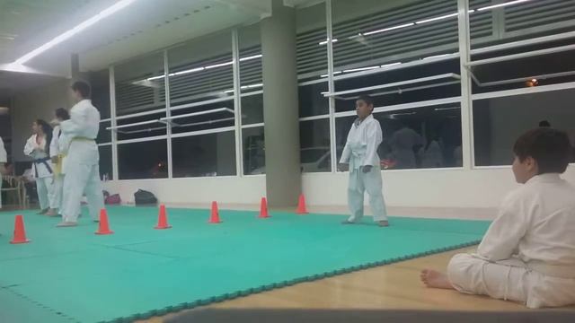 Examen 8 kiu cinta amarilla Juan Diego Torres Paz Karate do Shotokan Nippon Budokai смотреть онлайн