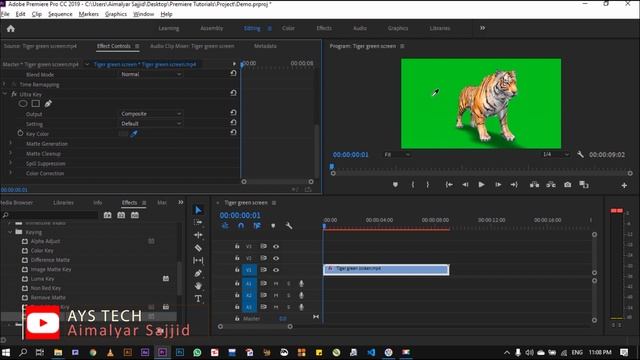 Chroma Key I  | Adobe Premiere Pro #8