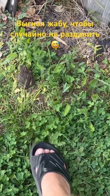 #юмор #топ #природа #ижевск #дача смотреть онлайн