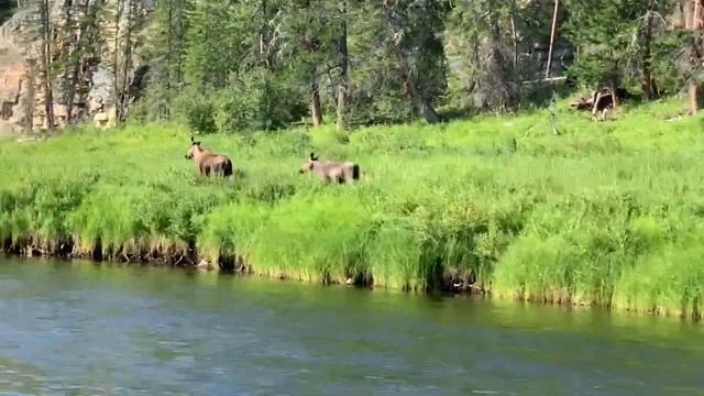 Сахам сирэ #yakutia #сахасирэ #якутия