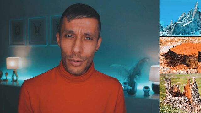 DET FINNS INGA TRÄD PÅ JORDEN! смотреть онлайн