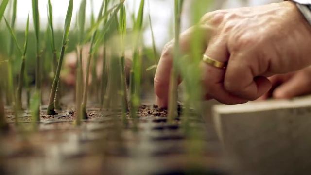 AgMusa – Discover How a Career at BASF Can Yield More Than Success (EN) смотреть онлайн