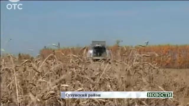 "Борьба за каждый гектар": сузунские аграрии ведут уборку урожая в нелегких условиях смотреть онлайн