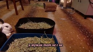 Пока я лечусь в санатории, жена в нашей иномарке резвиться с другим! - Измена Жены - Драмы Судьбы
