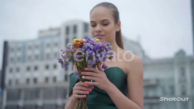 девочка мечта сниппет смотреть онлайн