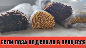 Что делаю, если бумажная лоза подсохла в процессе плетения(потеряла кондицию)