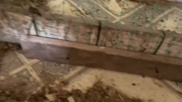 15 день квочка сидит на яйцах🥚не простое утро🤦🏼_♀️в курятнике,мастерю новое гнездо🐓22 марта 2025 смотреть онлайн