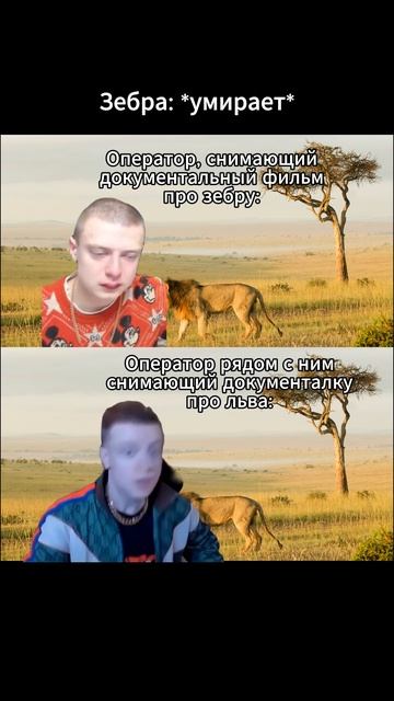ЗЕБРА И ЛЕВ МЕМ