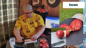 Помидоры 2024. Сравниваю гибриды и сорта. Лось!!!