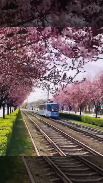VID_20250324_183339_828.mp4 смотреть онлайн
