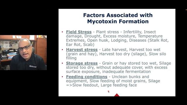 Wonderful World of Fungal Toxins: What We Know About Mold, Plant, Animal Interactions with Dr. Diaz смотреть онлайн