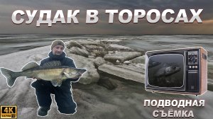 ВЕСЬ СУДАК В ТОРОСАХ