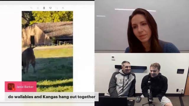 Animals Down Under II: Birds and Kangaroos смотреть онлайн