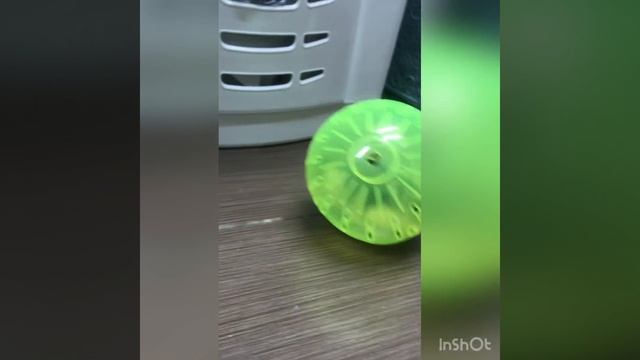 Шар для джунгарика с Алиэкспресс смотреть онлайн