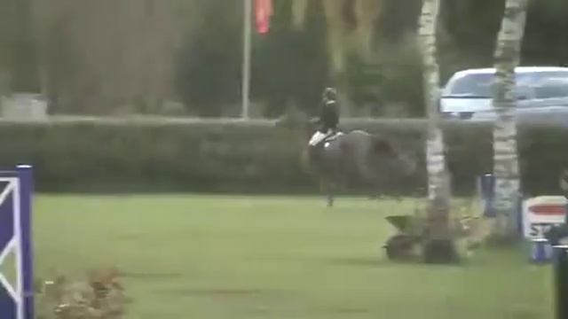 Hallina De Muze 1,45 Ranking Class Csi*** Lummen