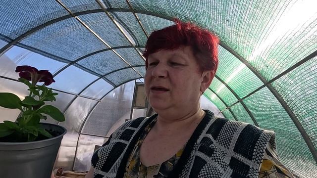 Как обещала, так и есть... Порадовала меня.. Сосед всё что-то ищет... смотреть онлайн