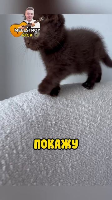 На неё напал медведь, спасётся ли она? 😱 смотреть онлайн