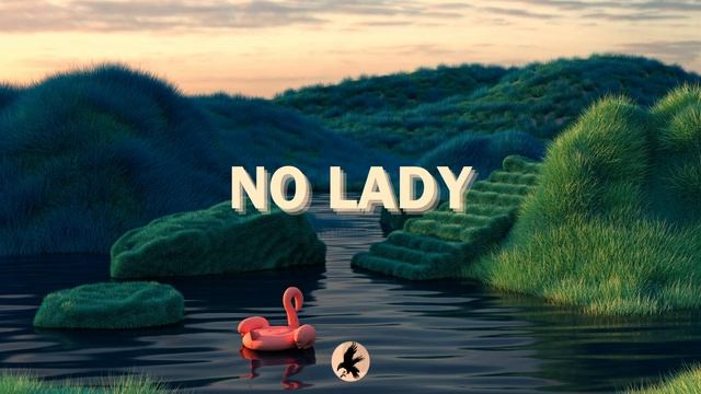 Alonzo X SDM Type Beat - "NO LADY" (Instru Afro Eté 2024) смотреть онлайн