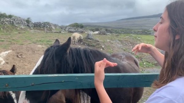 J'essaye le surf pour la première fois