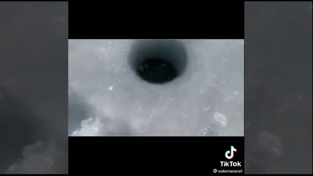 1 января 2022 г. смотреть онлайн