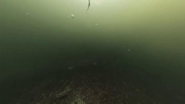 05jan2021 Buoy Drown смотреть онлайн