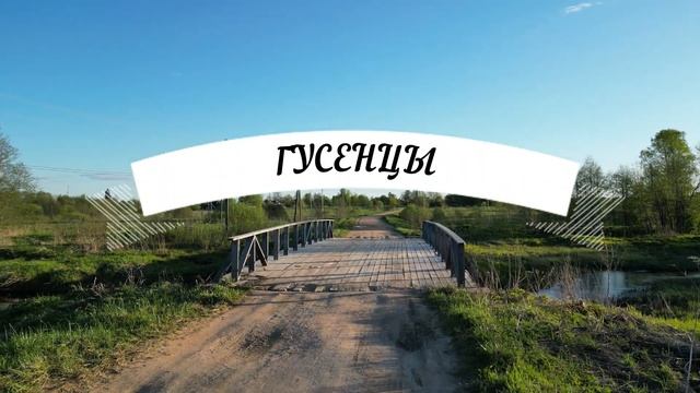 Мошки Гусенцы Тверская область смотреть онлайн