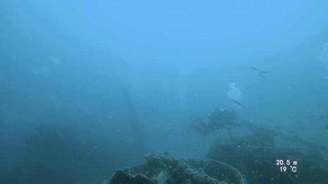 Corelianus 2019 - Alpen Tekkies Tirol & Triton Diving смотреть онлайн