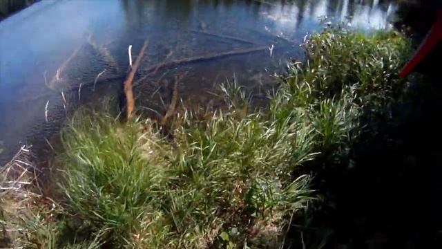 Grizzly And Kodiak Encounter HUGE Washout! смотреть онлайн