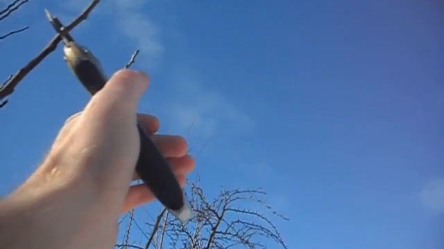 Обрезка груши смотреть онлайн