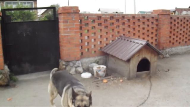 Каникулы у бабушки смотреть онлайн