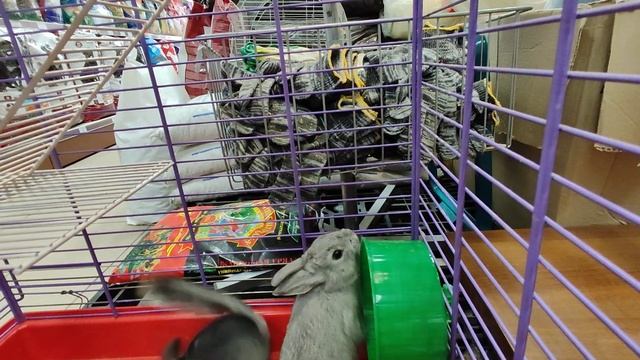 8 октября 2023 г. смотреть онлайн