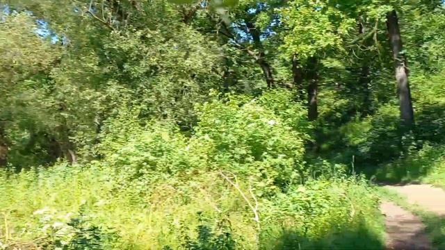 БІЖЕНЦІ / ГДЕ БЕРЕМ ВОДУ ДЛЯ ПИТТЯ смотреть онлайн