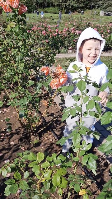 20230910_154718 смотреть онлайн