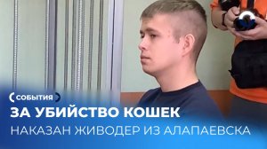 Преступление и наказание: живодер из Алапаевска получает свой срок