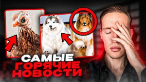 ВЫШЛА ЗАМУЖ В 9 ЛЕТ🤯В этом месте ты сможешь почувствовать себя ЖИВОТНЫМ..ТОП 10 НОВОСТЕЙ