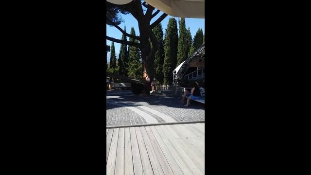 🌞 Отдых в Крыму с Art Club! 🌴